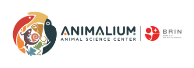 Lelang Animalium